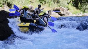 Whitewater rafting at Tara River