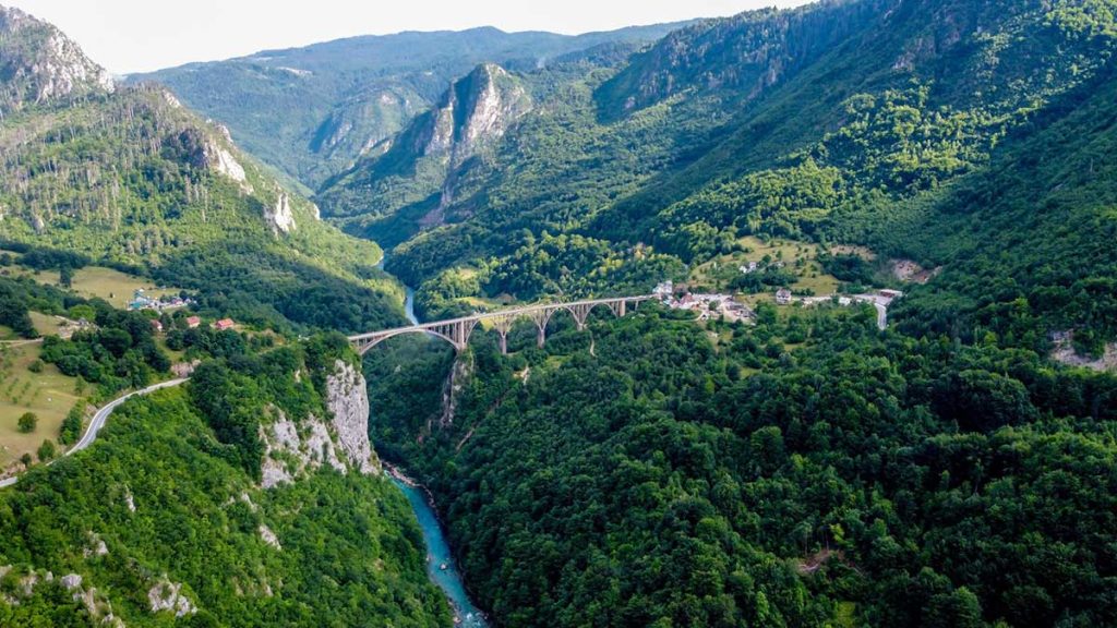 tara river canyon in durmitor national park