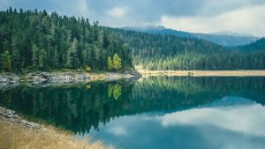 Black Lake, Durmitor National Park