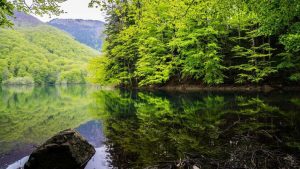Biogradska Gora National Park