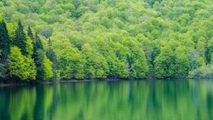 Biogradsko Lake