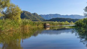 Lake Skadar Boat Tour