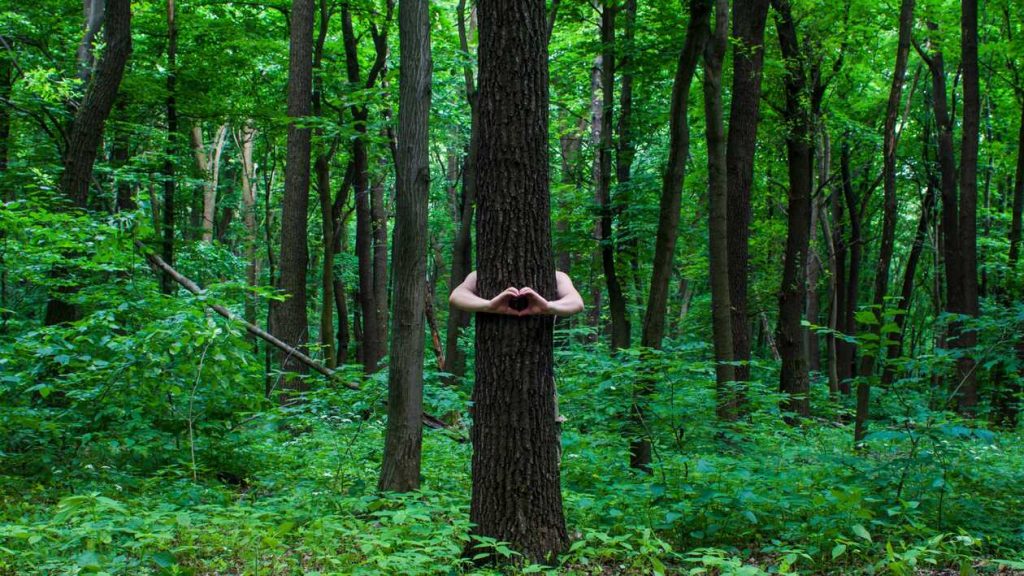 A man spending time in Biogradska Gora National Park and Hugging Trees