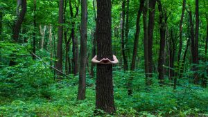 A man spending time in Biogradska Gora National Park and Hugging Trees